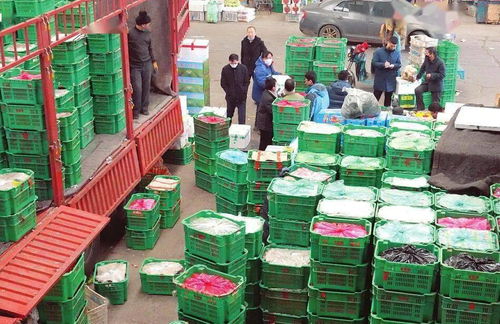 太原河西農副產品市場 菜籃子貨豐價穩，保障民生供給