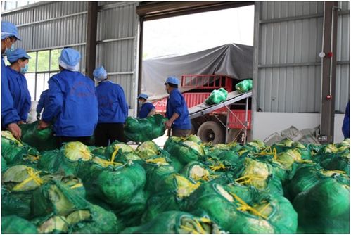 千里迢迢援滬情 云南漾濞縣42噸農副產品抵奉賢