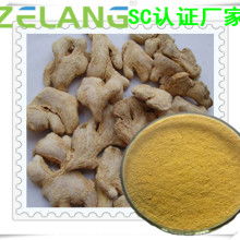 農副產品加工廠 專注姜類產品，推動產業升級