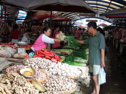 農(nóng)副產(chǎn)品漲價(jià)潮下的市民心態(tài) 理性應(yīng)對(duì)與長遠(yuǎn)思考